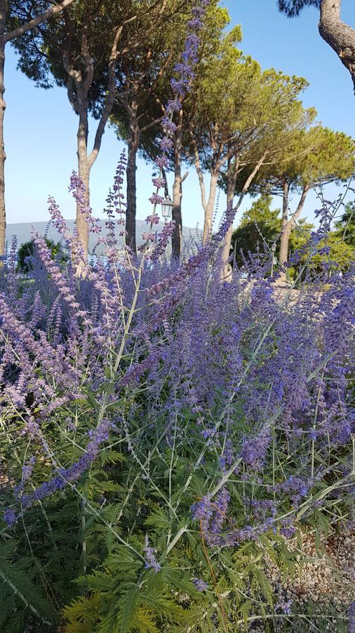 La Colombaia Nel Castello Lägenhet Bracciano  Exteriör bild